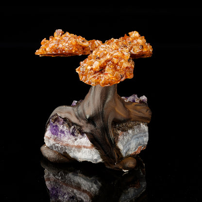 Citrine Gem Tree – Abundance Crystal Tree for Wealth & Home Decor | Feng Shui Gift